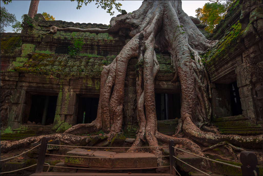 3. Cambodia '2009. Ta Prohm  Complex.