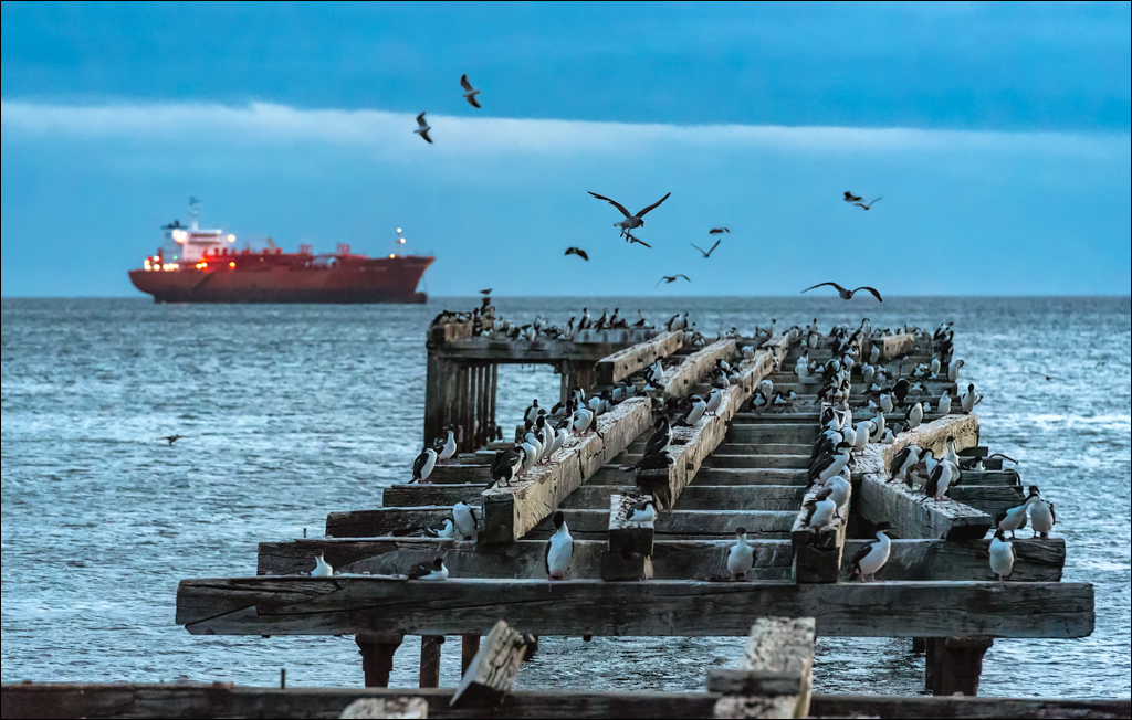 PuntaArenas R1 20181123084