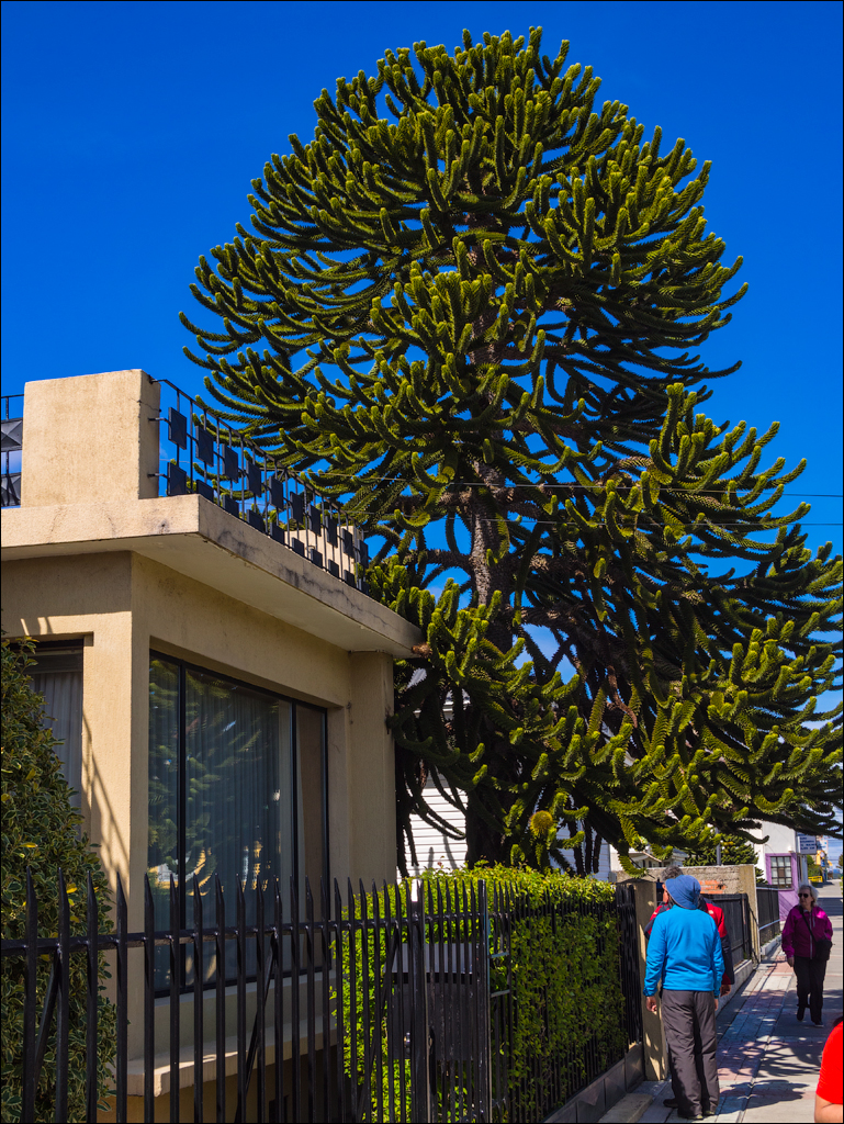 PuntaArenas R2 20181124113