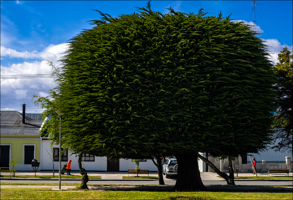 PuntaArenas R2 20181124129