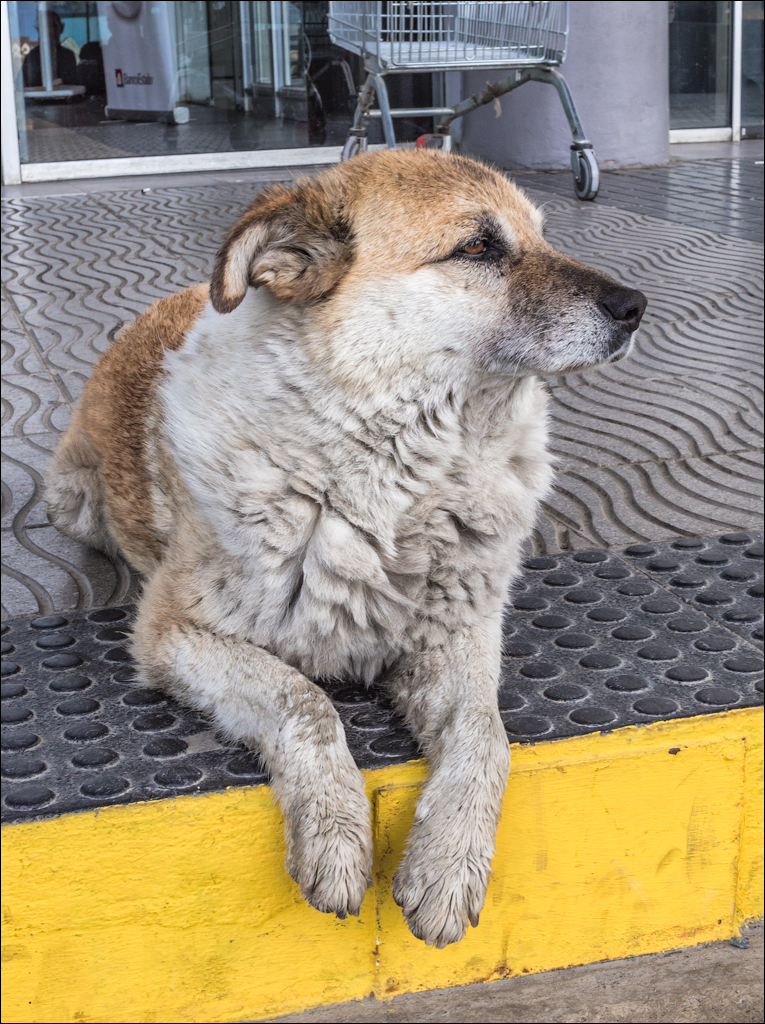 PuntaArenas R2 20181124170