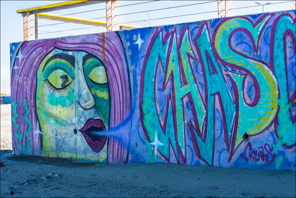 PuntaArenas R2 20181124189