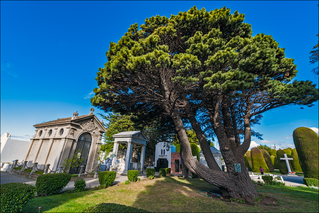 PuntaArenas R2 20181124196