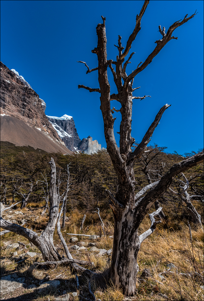 ChileArgentina 20181112050