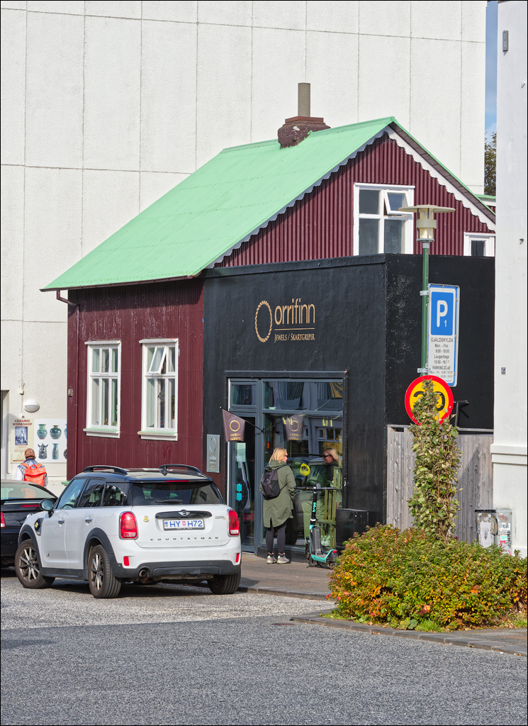 Reykjavik 2023 113
