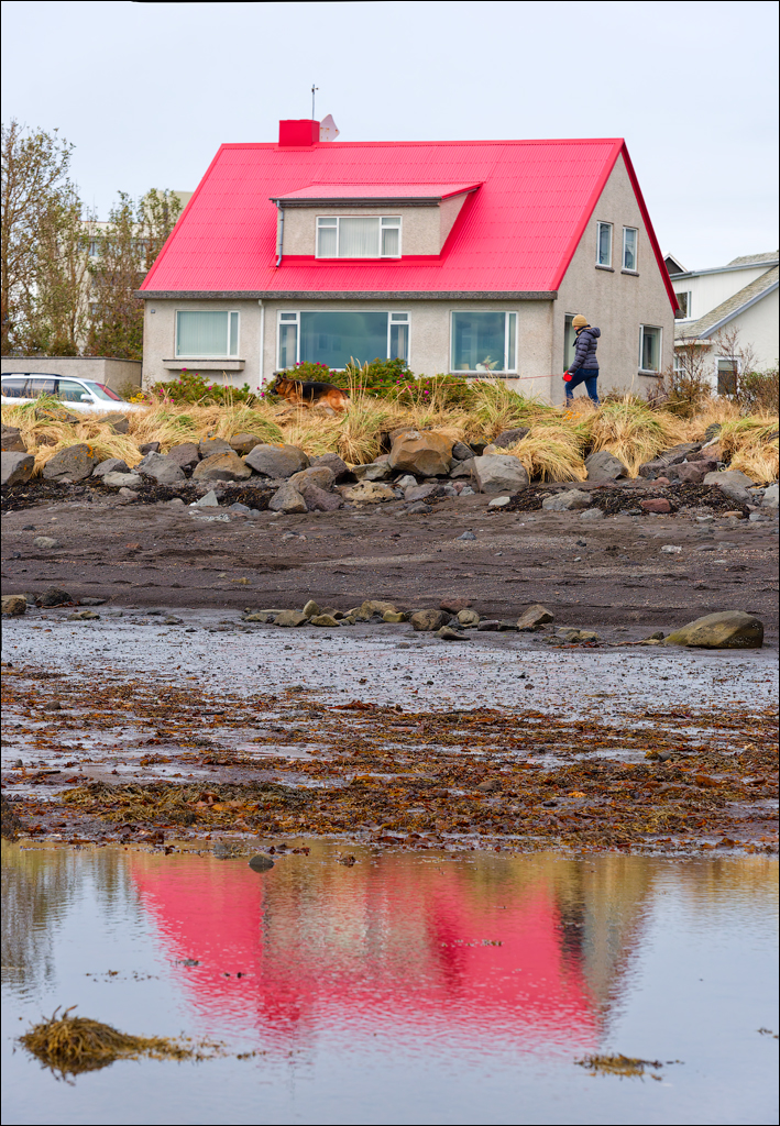Reykjavik 2023 154
