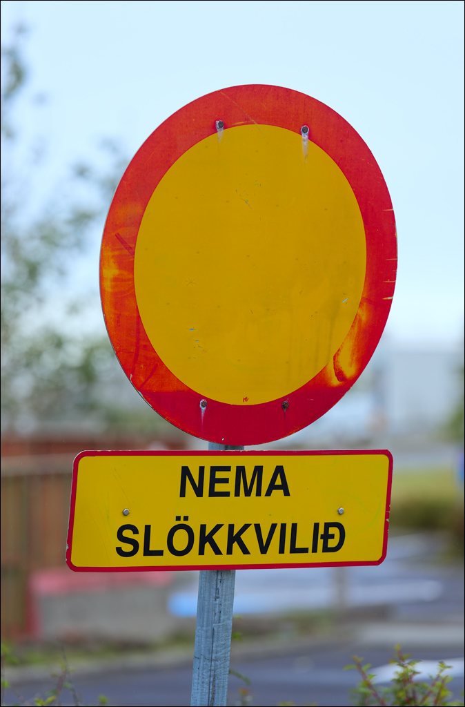 Reykjavik 2023 172