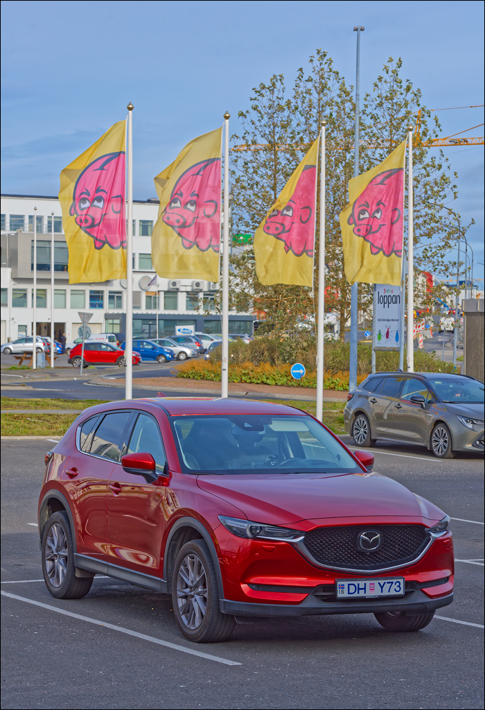 Skogar Vik 2023 101