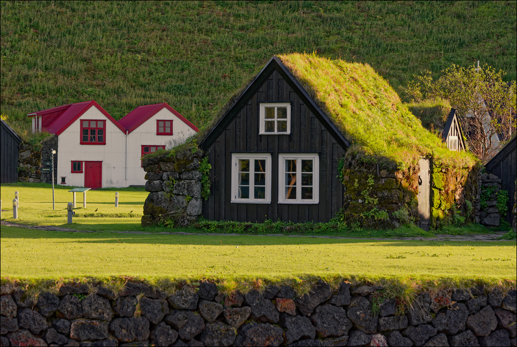 Skogar Vik 2023 135