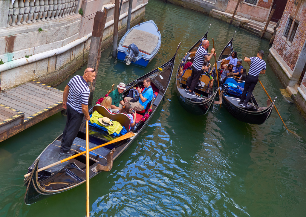 Venice 2017 137137