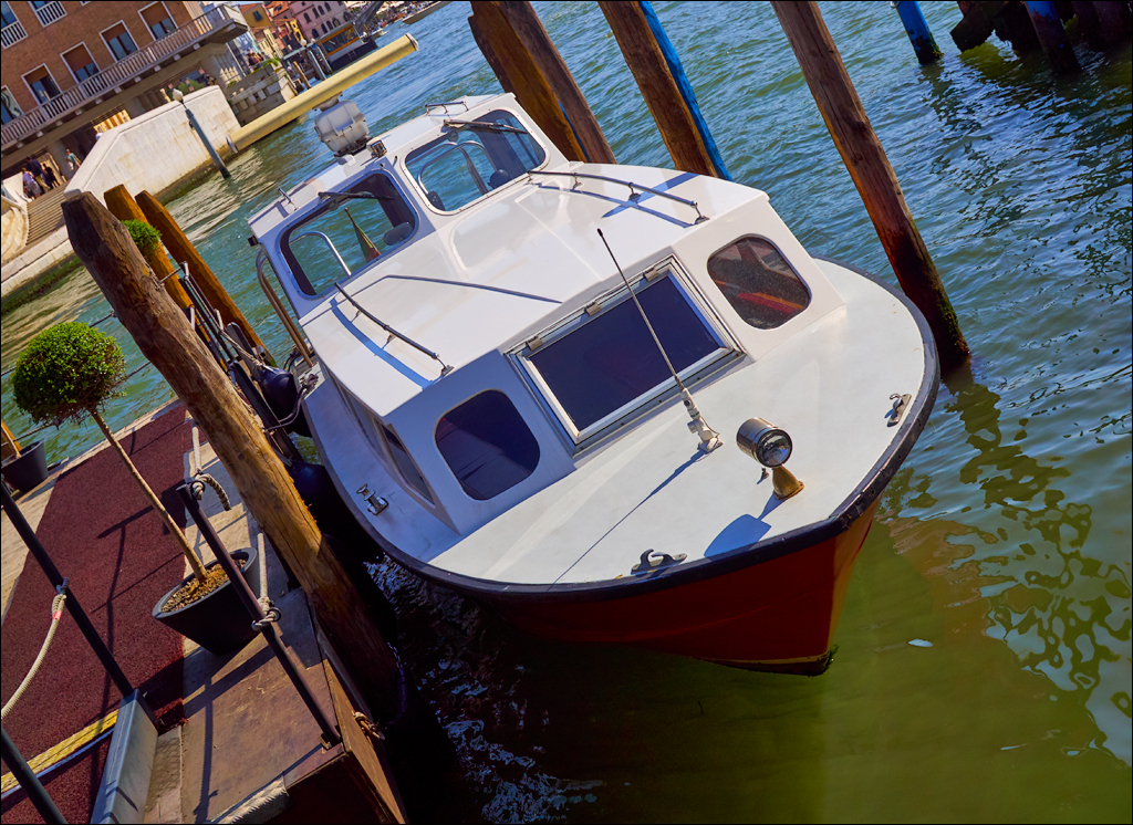 Venice 2017 193193