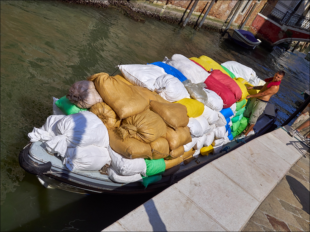 Venice 2017 199199