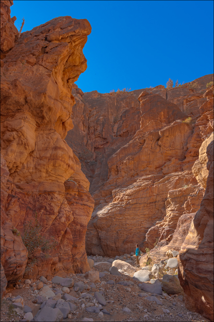 Jordan 220107 150