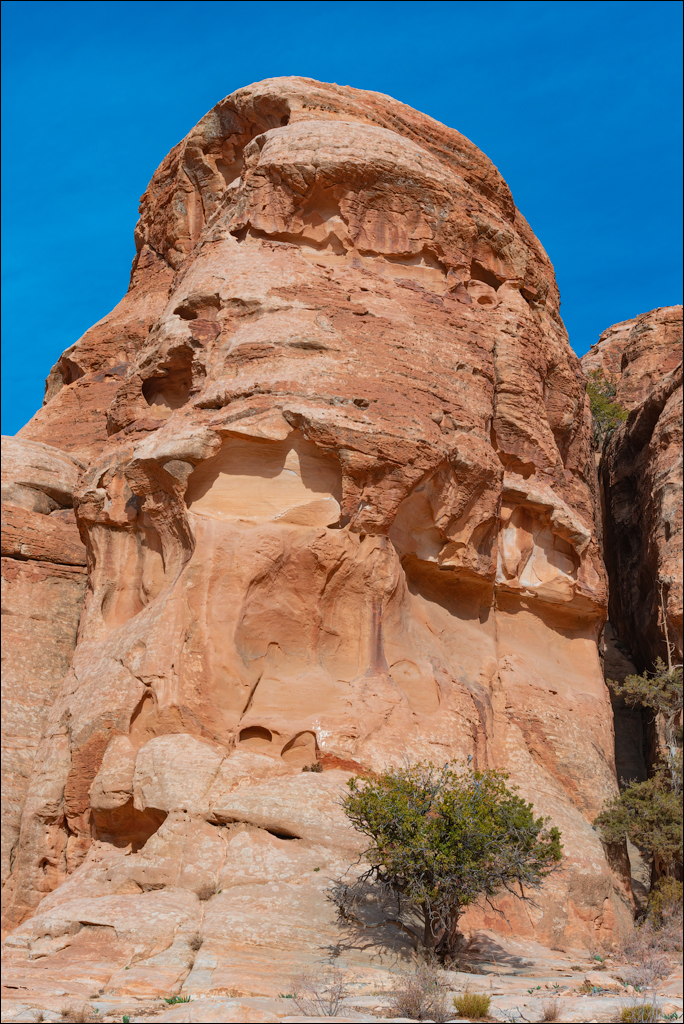 Jordan 220109 118