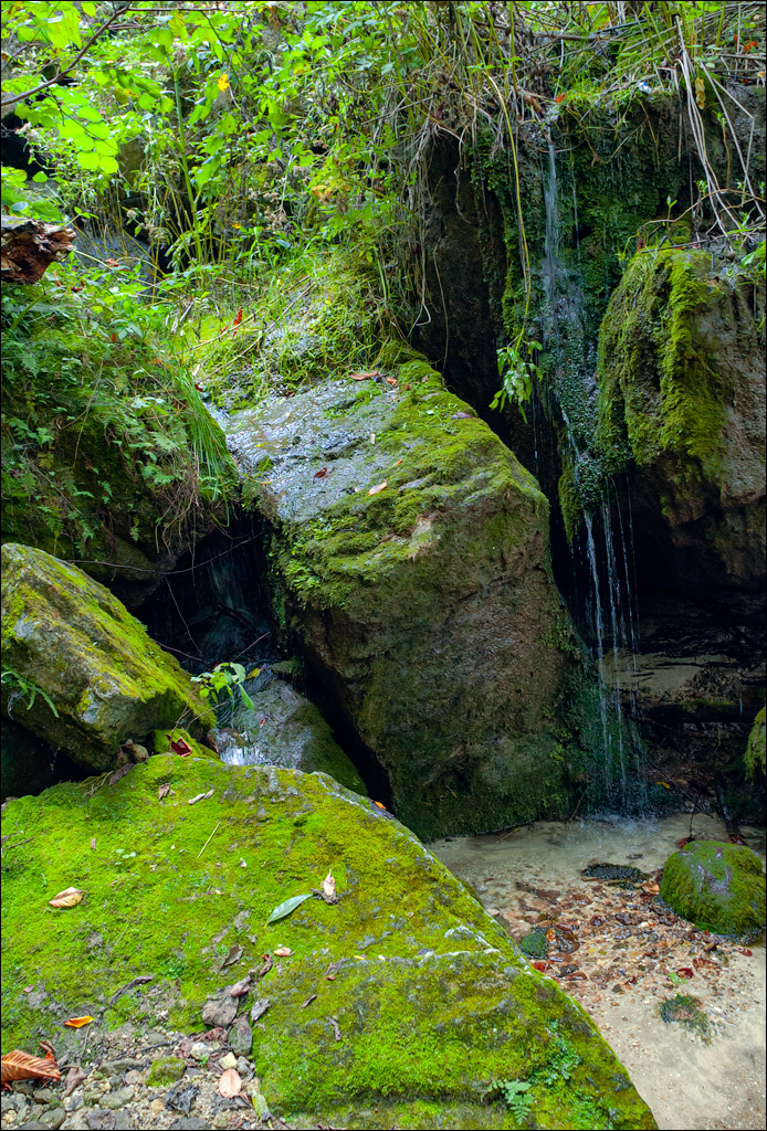 Soroca 20050911 144