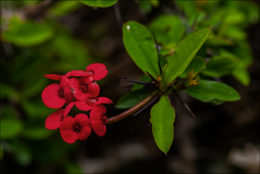 20150425093316