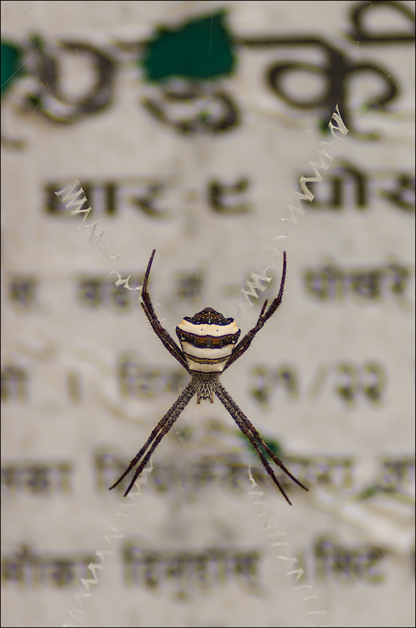 20150425094130