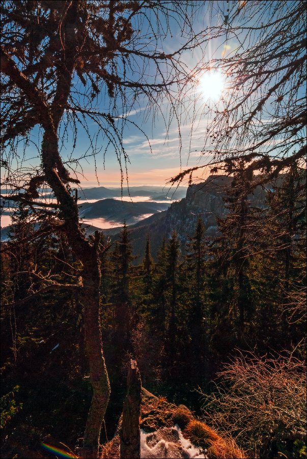 Ceahlau 0300