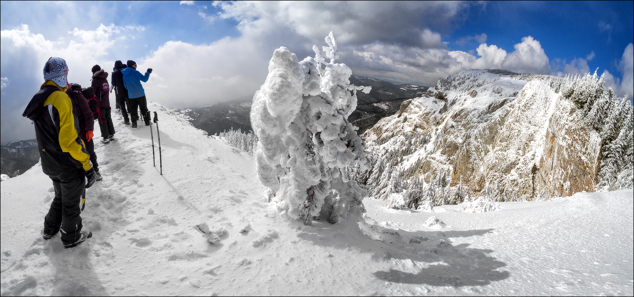 LND8520 Panorama