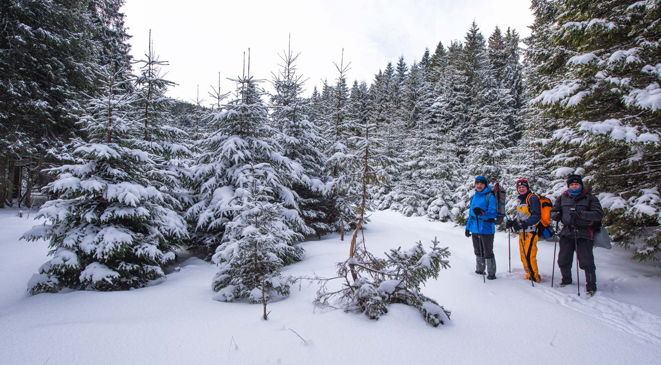Hasmas 0300