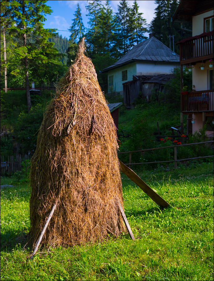20150627084531