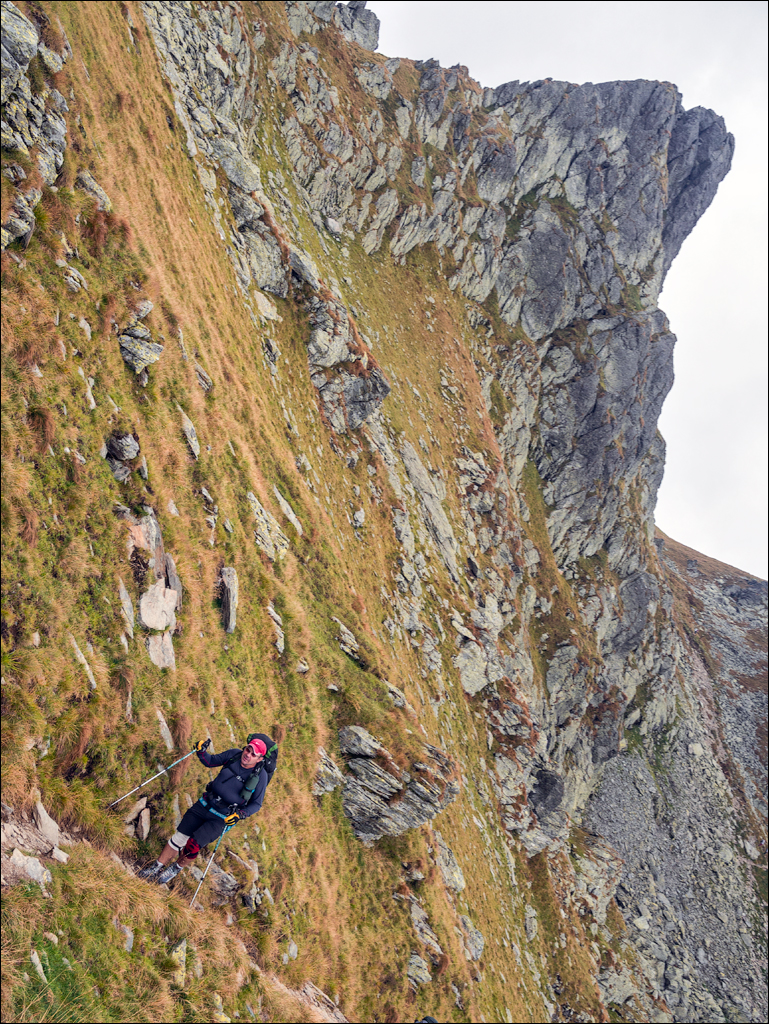 Negoiu Aug2018 047