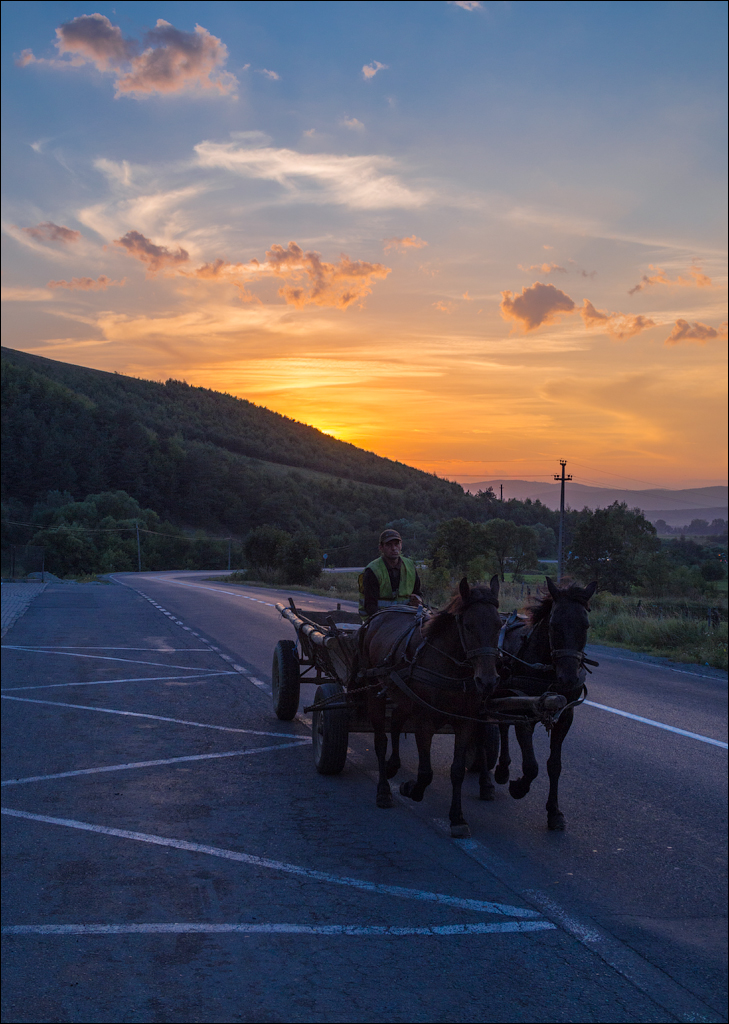 Negoiu Aug2018 172