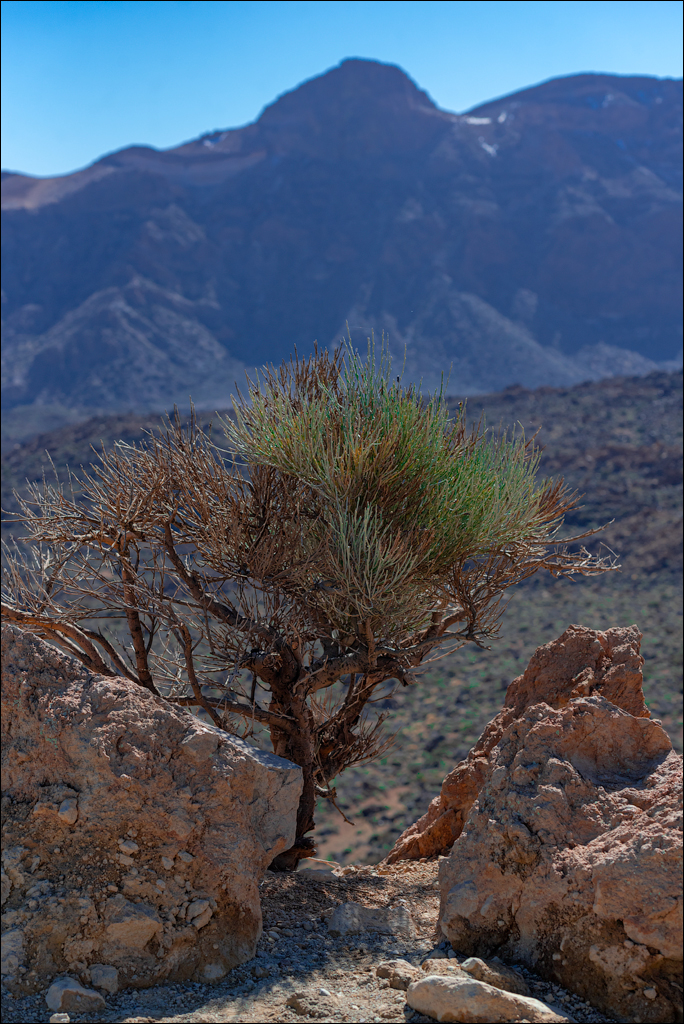 Teide 04jan2023 125