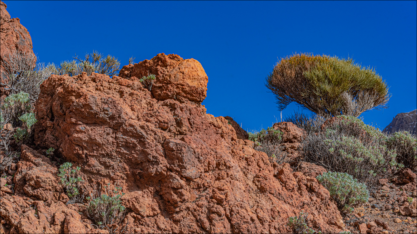 Teide 04jan2023 141