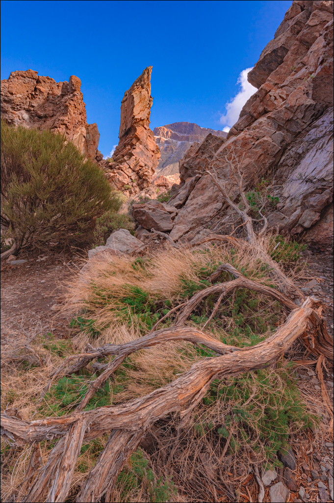 Teide 04jan2023 151