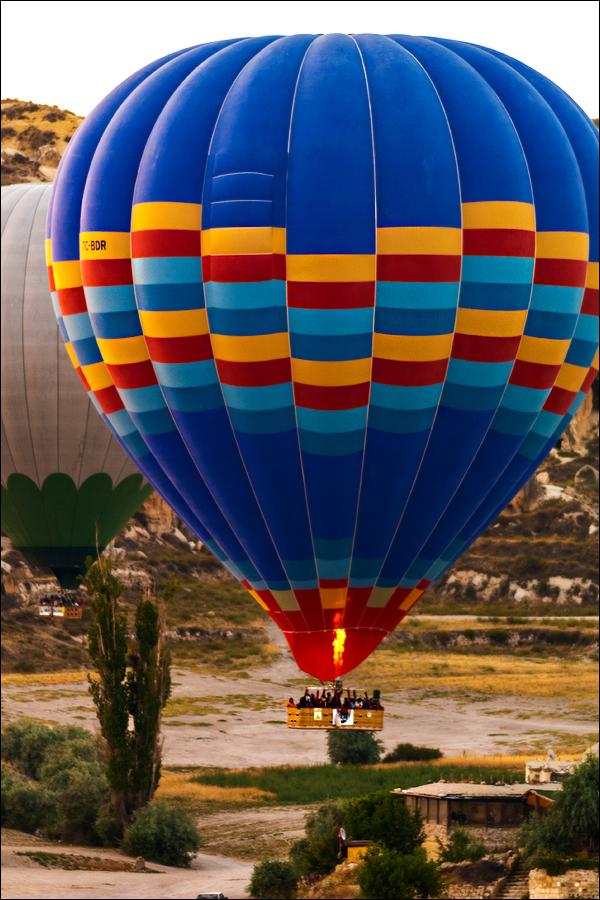 Turkey 8290