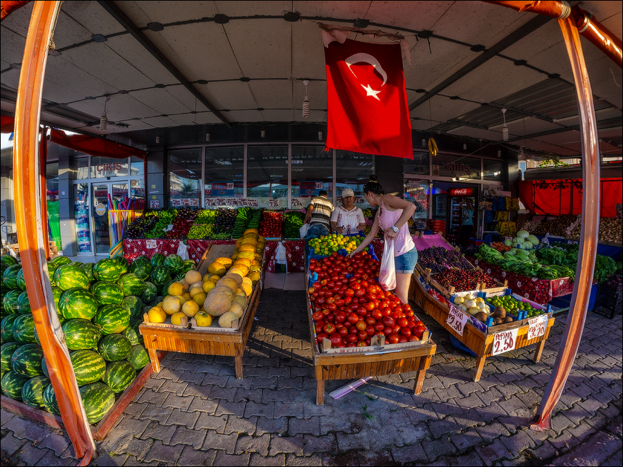 Turkey 4044