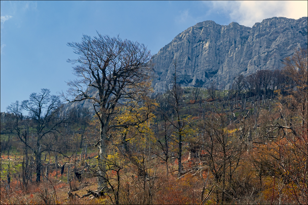 Crimea 20060505 159