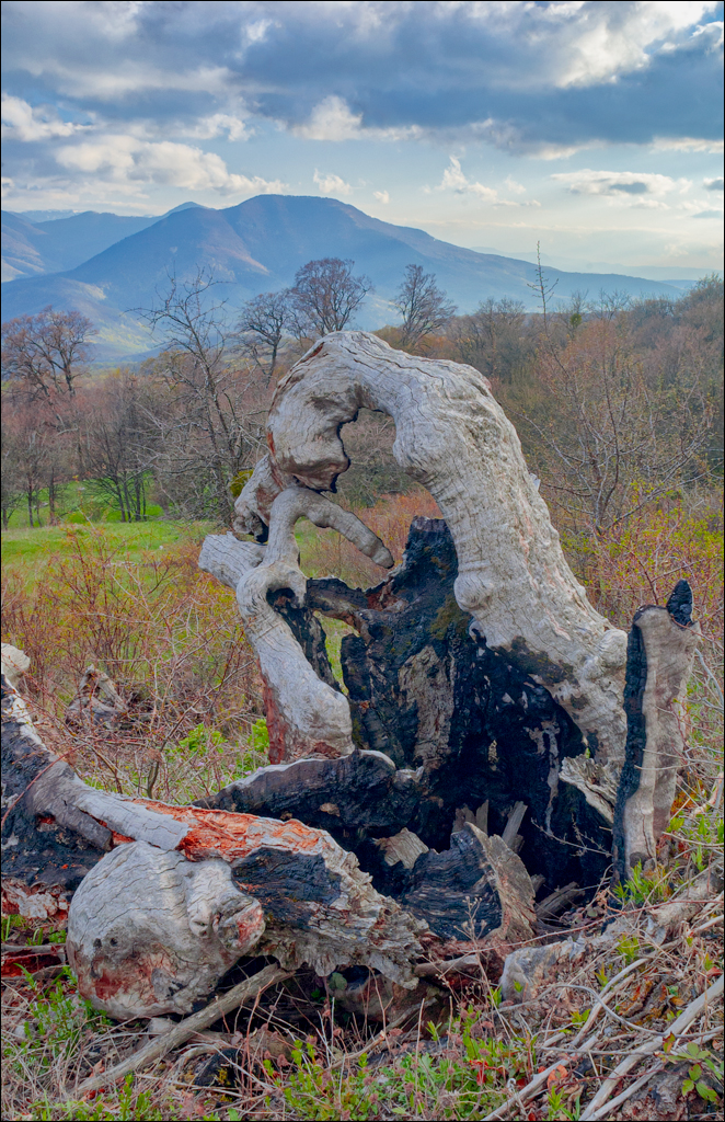 Crimea 20060505 163