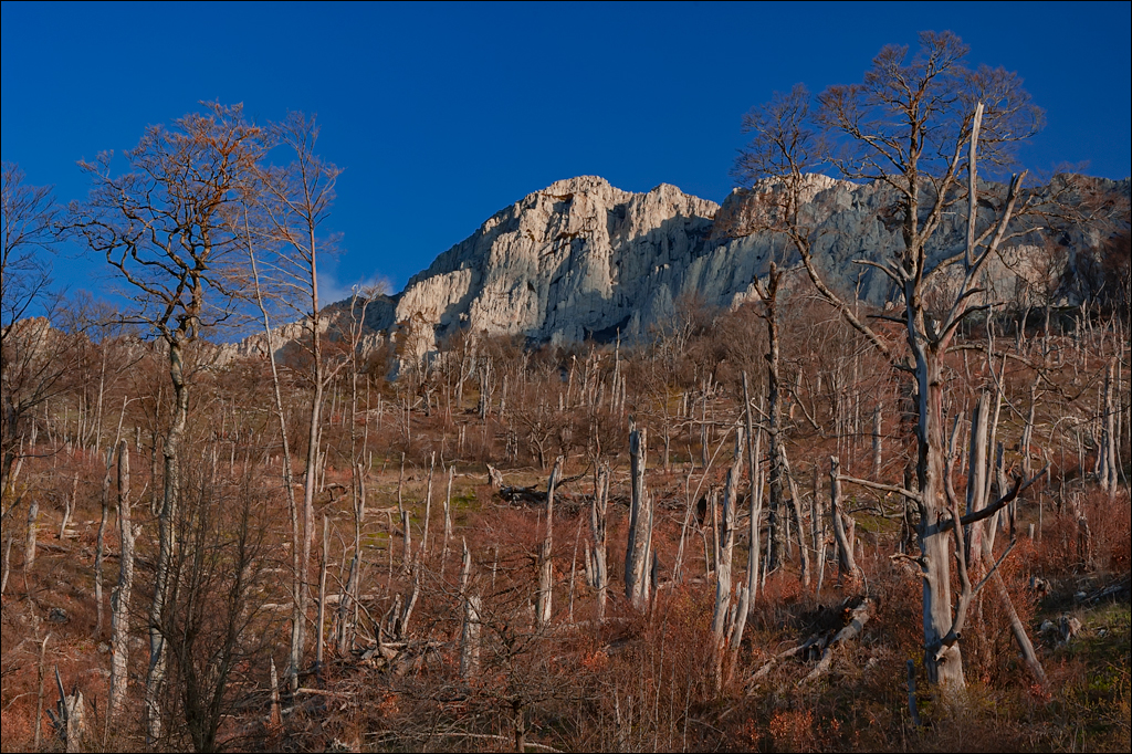 Crimea 20060505 165