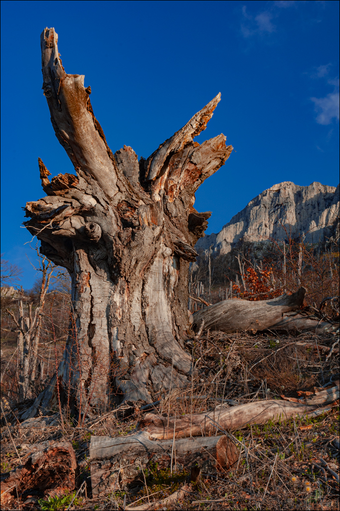 Crimea 20060505 166