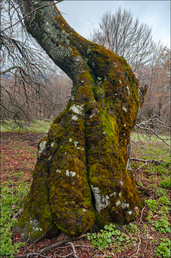 Crimea 20060505 222