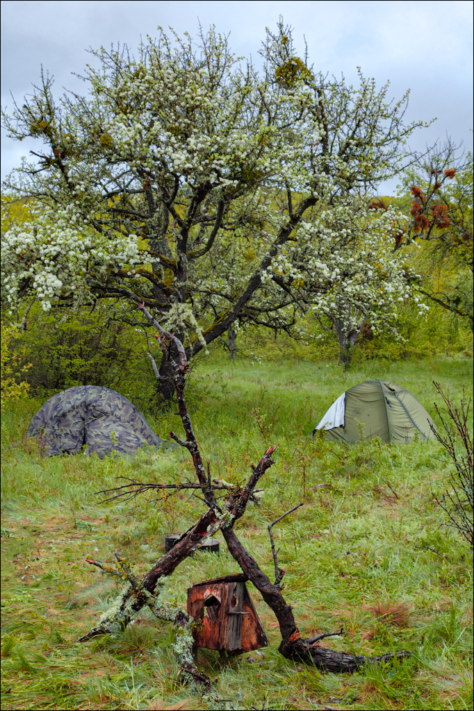 Crimea 20060505 233