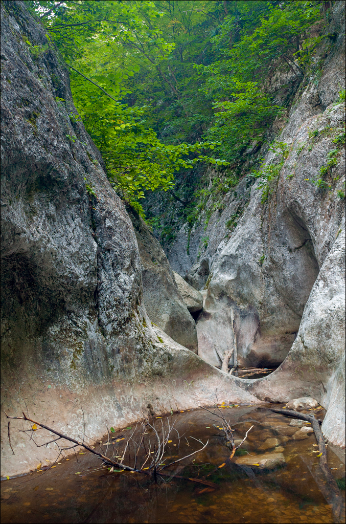 Crimea 20060916 111