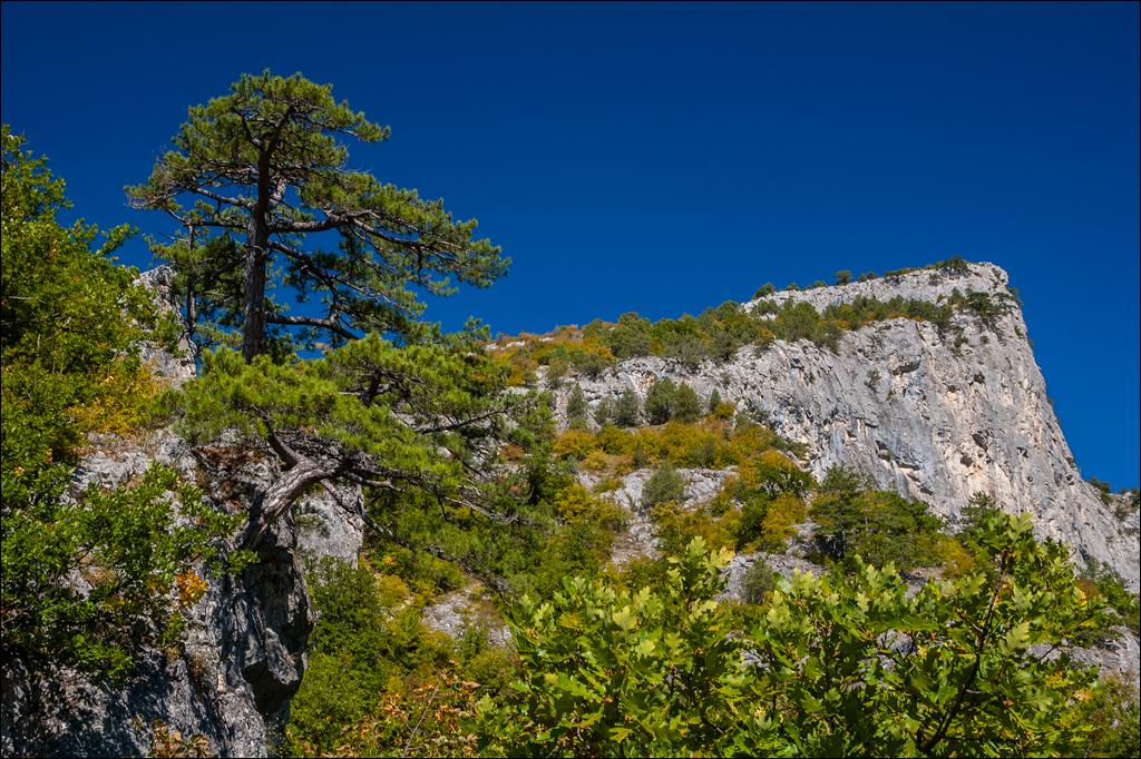 Crimea 20060916 117
