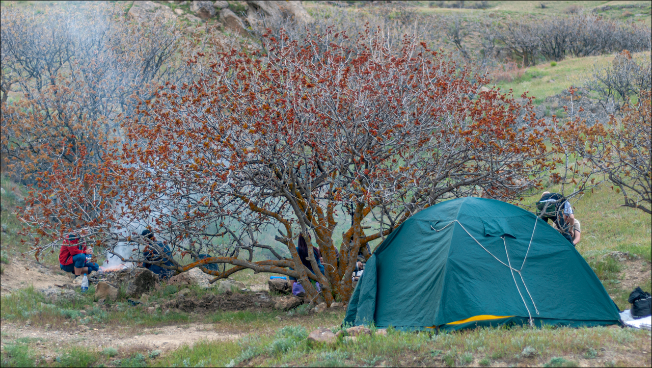 Crimea 20070429 204