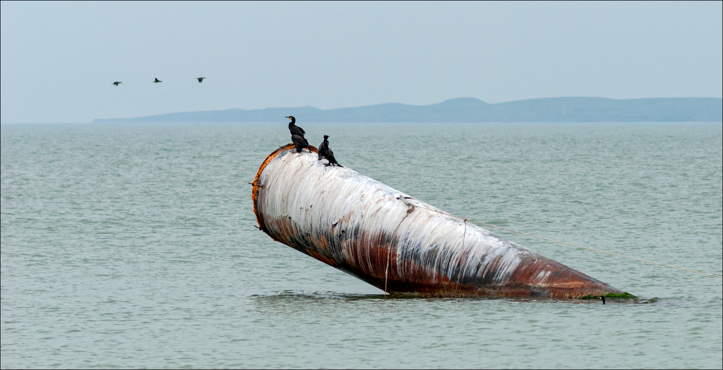 Crimea 20070429 234
