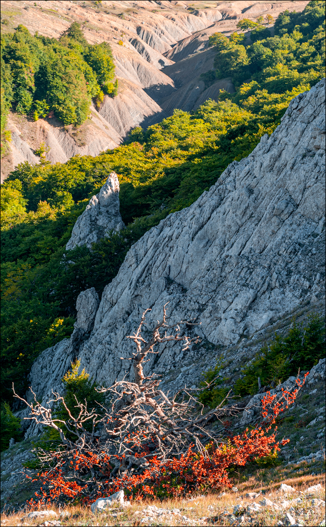 Crimea 20070917 116
