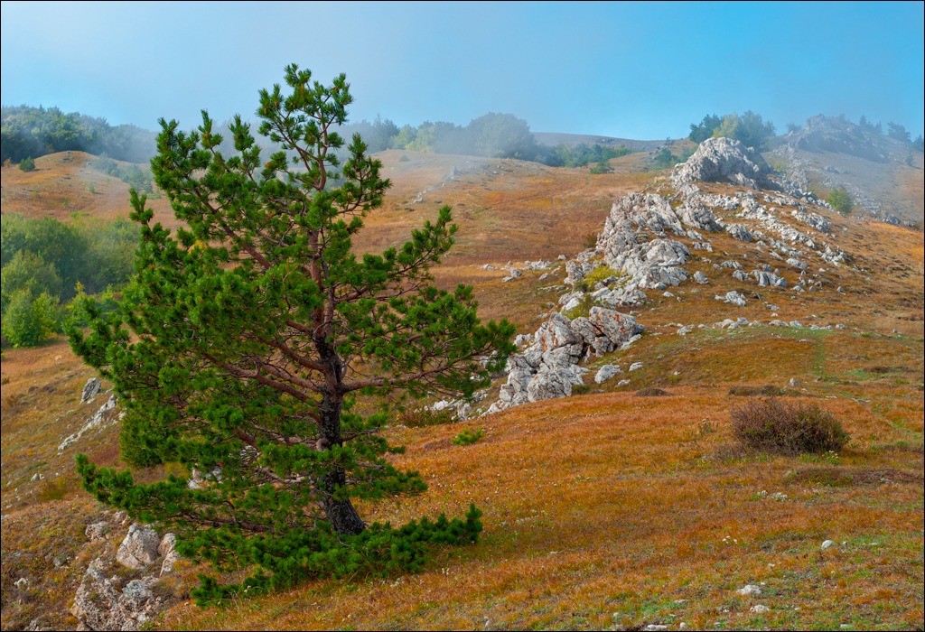 Crimea 20070917 140