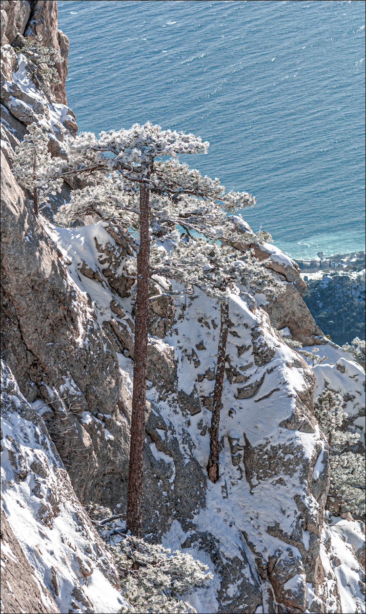 Crimea 20080105 117