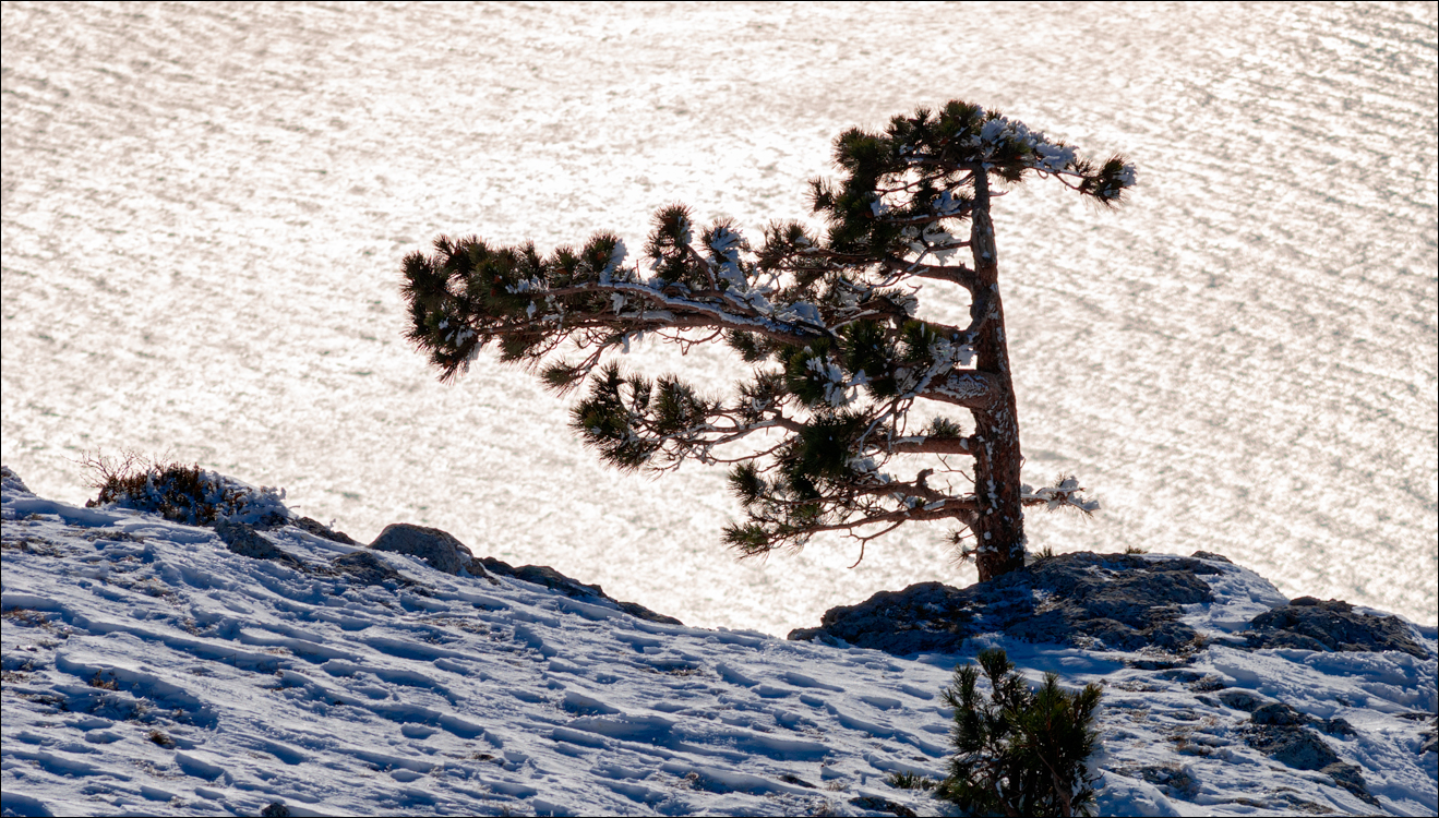Crimea 20080105 124
