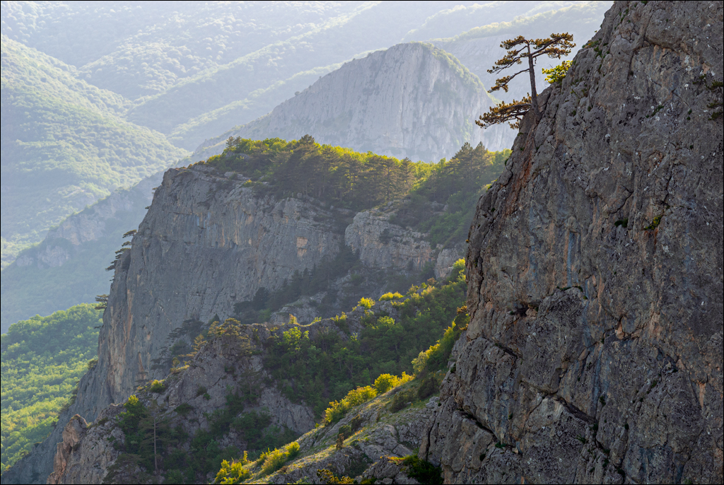 Crimea 20080517 170