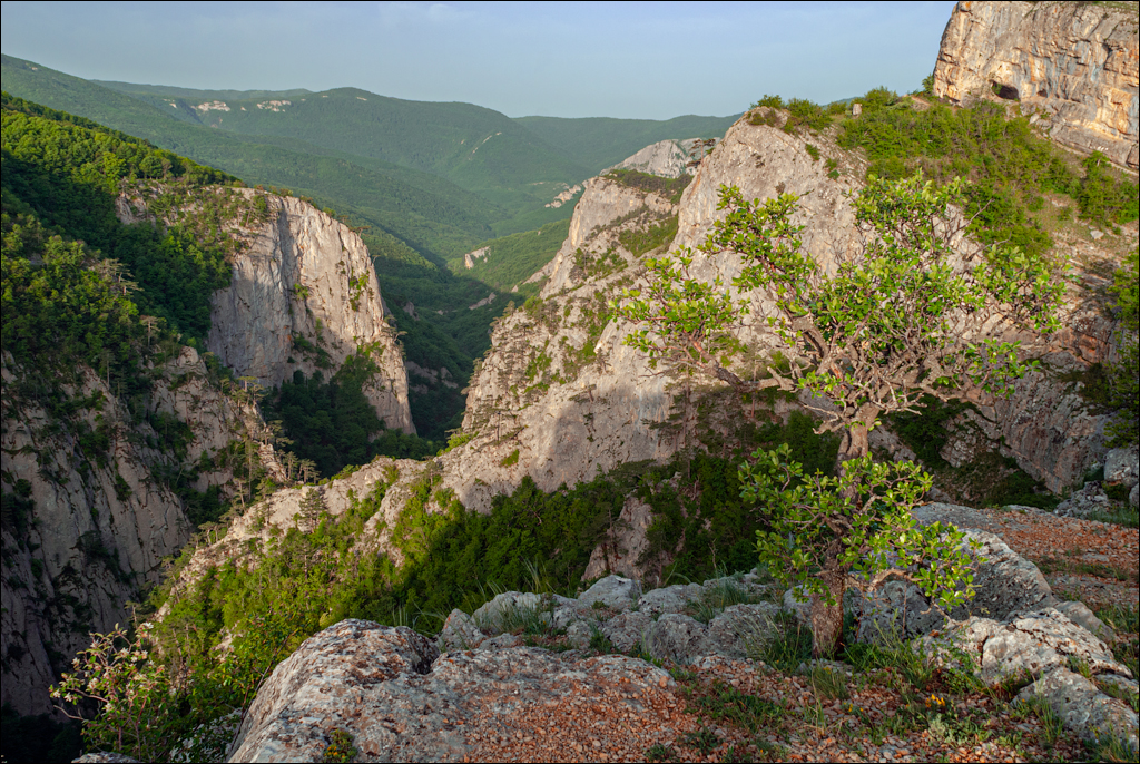 Crimea 20080517 175