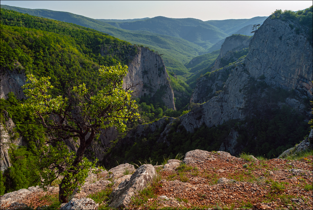 Crimea 20080517 178
