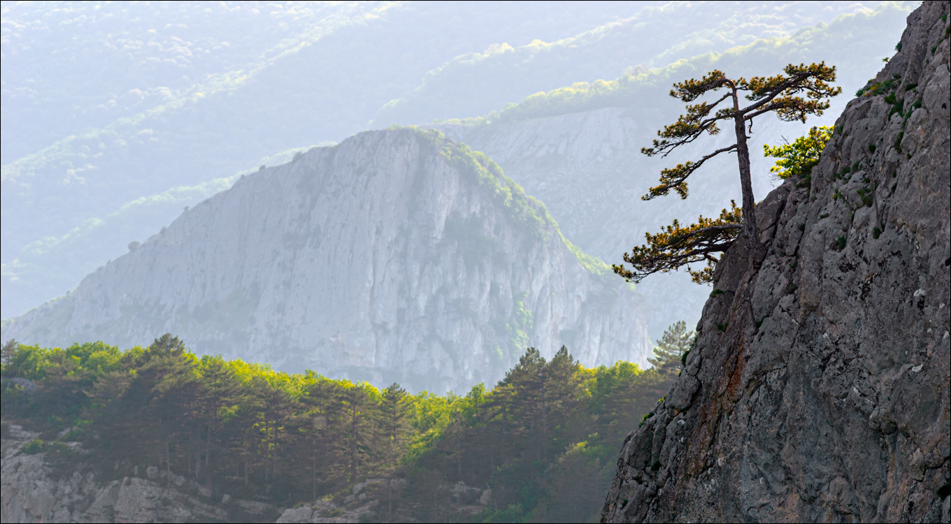 Crimea 20080517 186